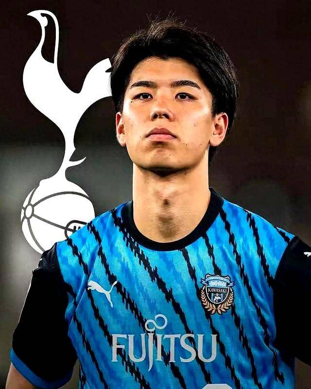 挑战各尺寸 挑战一棵大树树干的各尺周长