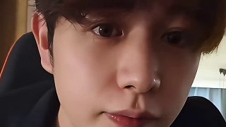 啄木鸟系列在线观看