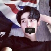 小马拉大车专区