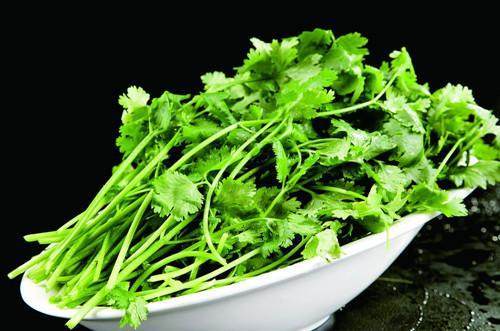 越狱第二季下载