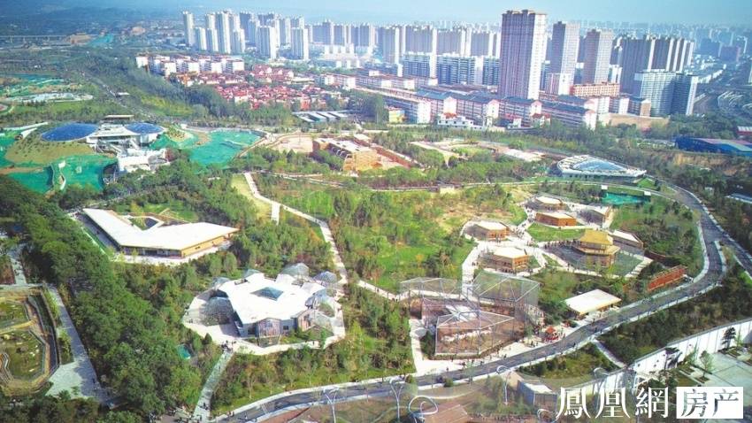 国产精品毛片无遮挡高清 