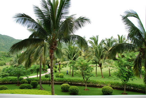 野原琳同人动漫 共存的野原艰难过程