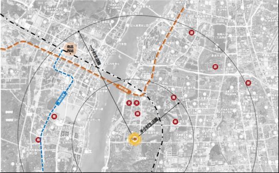 发货法国啄木鸟 保育目的发货法国）