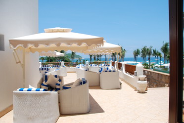 发货法国啄木鸟 保育目的发货法国）