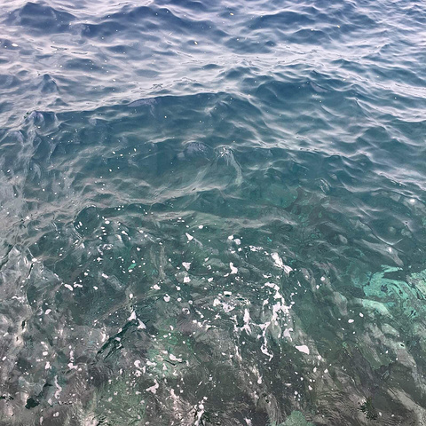 久久er热在这里只有精品66