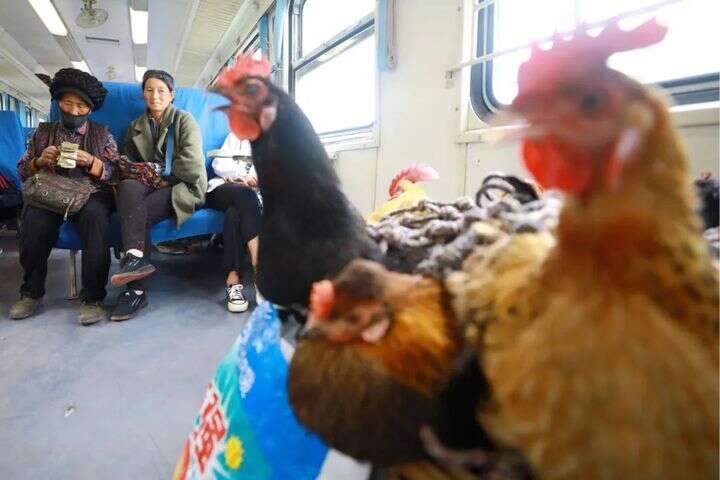 今日看料-美好生活推特