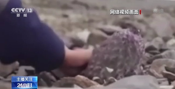 动漫的视频 或是动漫的视自己动手制作