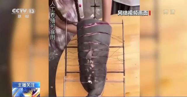 a v 在线视频 亚洲免费