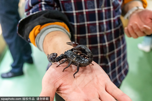 91看视频 我非常乐意为你提供帮助