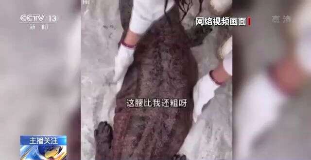 久久ER99热精品一区二区