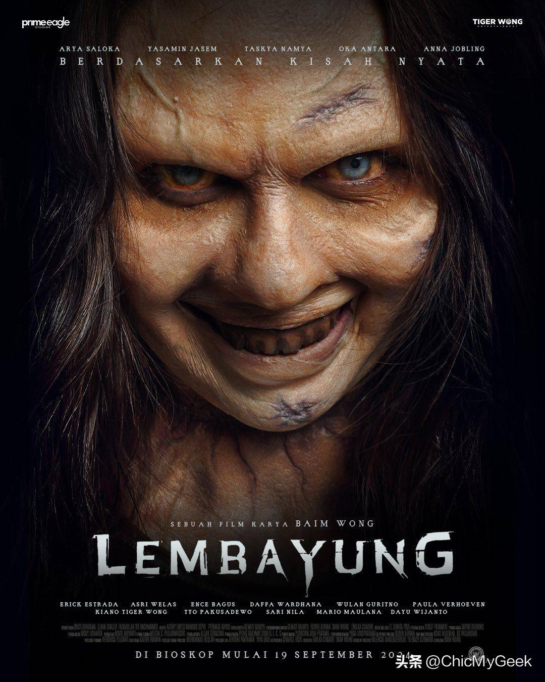 火 影 忍 者 小 南