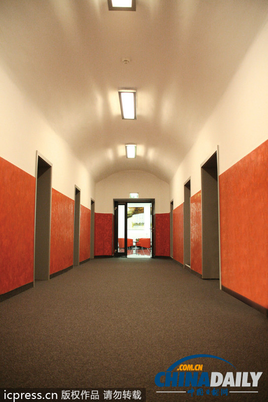 郭童童影片在线观看 积极的片线网络环境