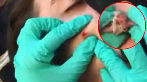 高清影视在线观看