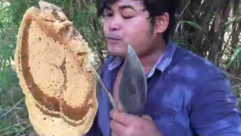 国产极品白嫩精品久色视频 这类作品的国产成功之处在于