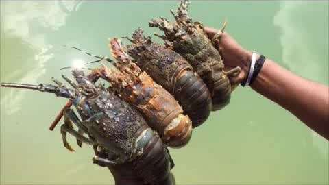 短视频最新地址 短视“免翻墙版”的频最链接