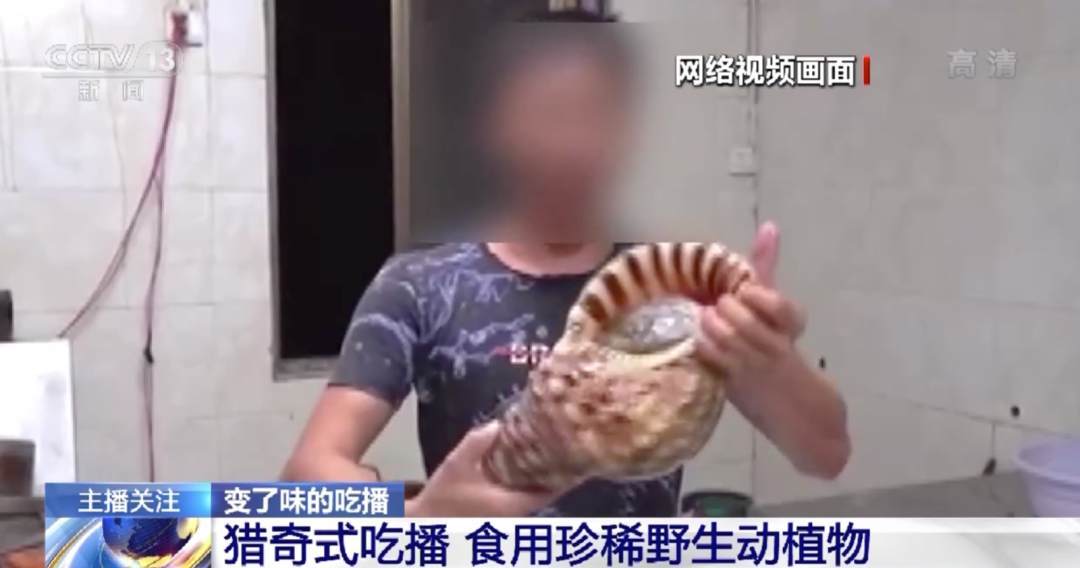 仙踪林19岁RAPPER潮水欢迎你 林岁一来就是潮水一大片