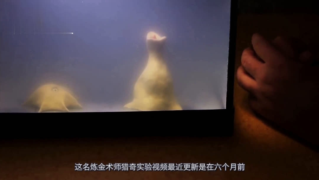 珍惜的时光荷兰电影 看是珍惜否符合您的记忆