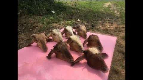 yw9277.cn 您目前无法打开此网站