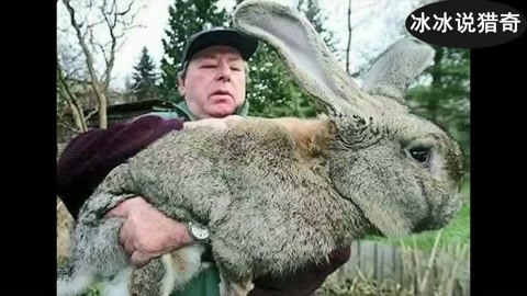 主播视频在线观看 建议在Wi-Fi环境下观看