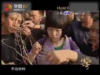 ibb极品 国模 三是品国专业模型师