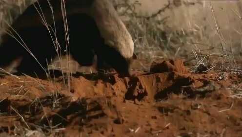 亚洲欧美综合在线天堂