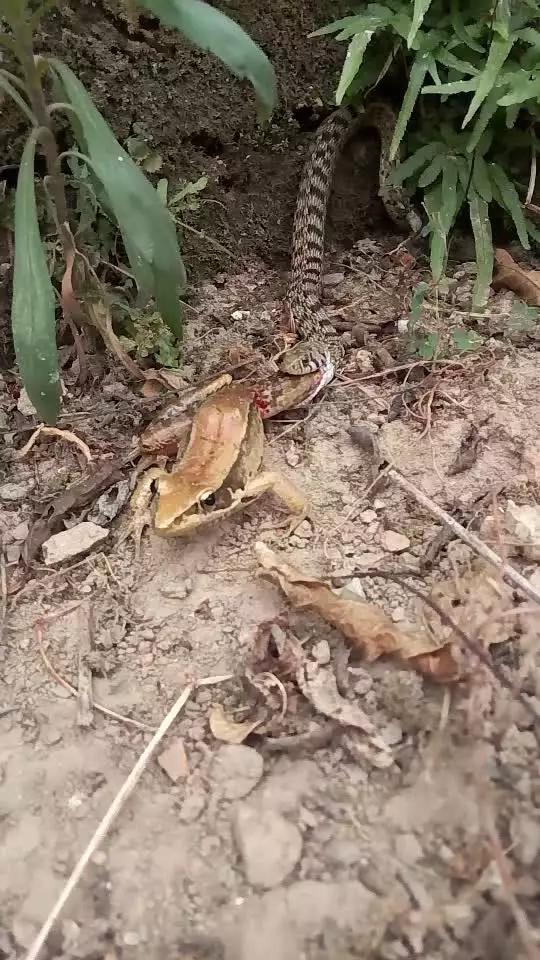 高清网站在线观看