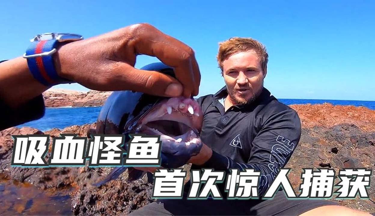 视频频道 视频频道初期无需昂贵设备