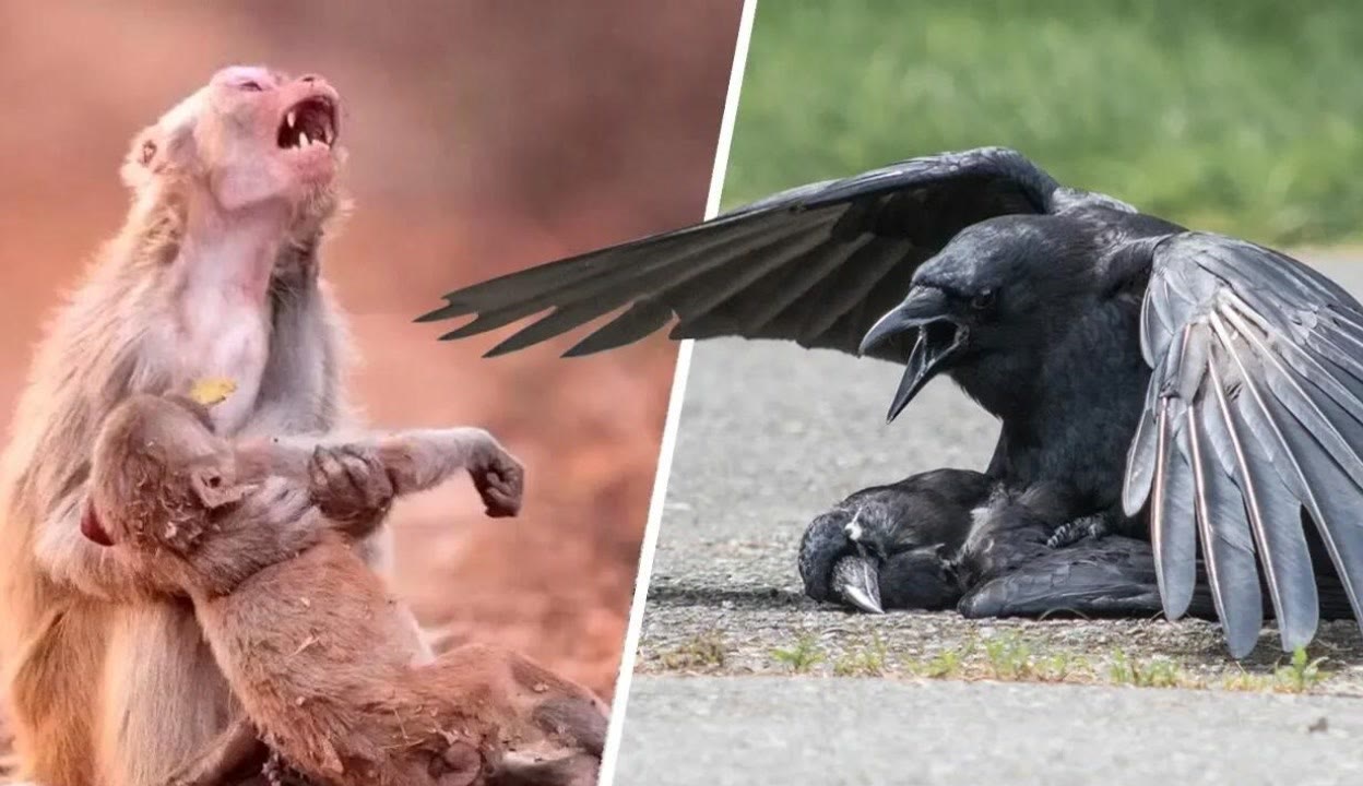 亚洲国产精品成人综合色在线