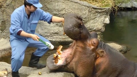 后入式插 客观的后入式插信息