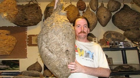 久久久精品99社区