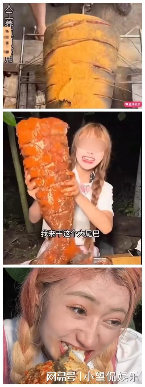 运动员的玩物po