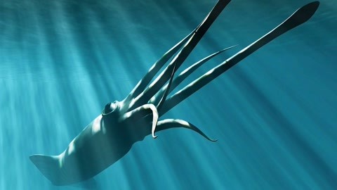 3d同人口工网站 保护自己和他人的人口权益