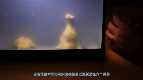 japanese在线观看