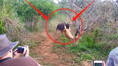 新疆鑫晟瑞通技术服务有限公司 招标