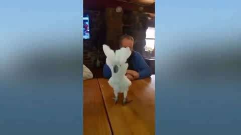 38.88解锁450部在线观看