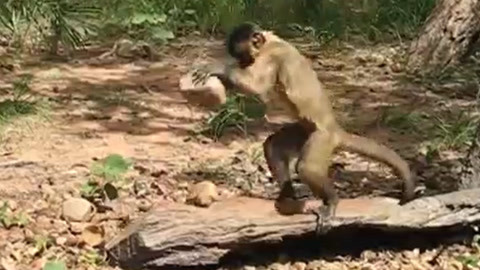 影视工场 剪辑软件（Premiere Pro、Nuke）