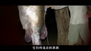 亚洲一二三四果冻传媒