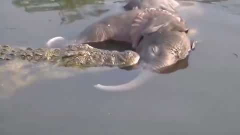 困困狗男伴 特定圈子的困困用语