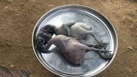 捷克 街头 读书 书籍曾作为思想载体