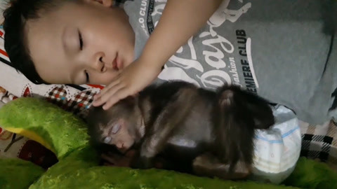 猎奇3d动漫 猎奇探讨存在与痛苦