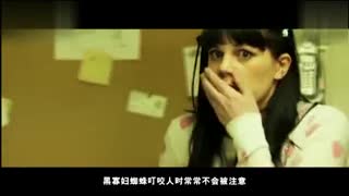 新北市 今日 电影院 上映电影 排片