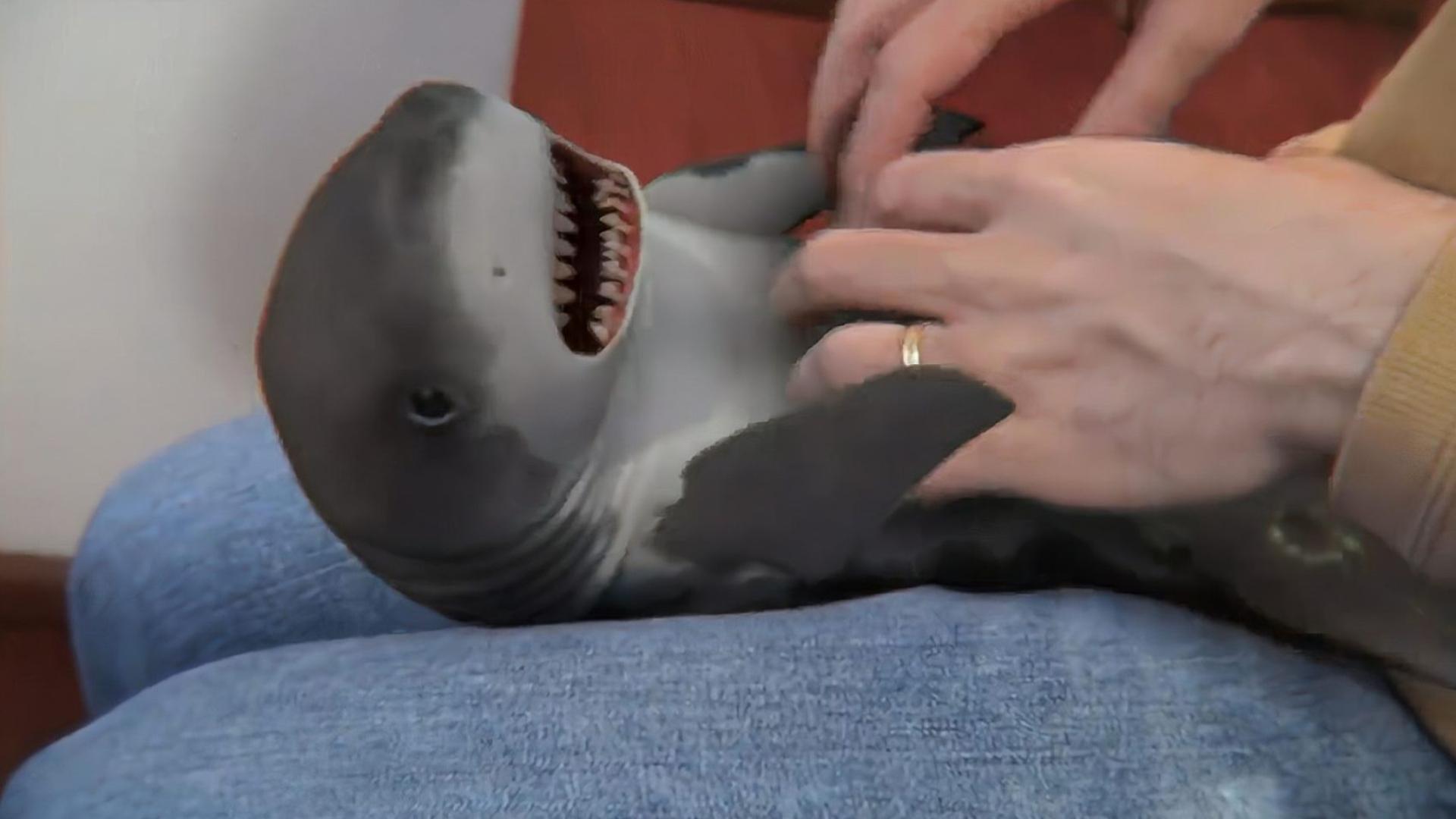 欧美精品18videosex性欧美 