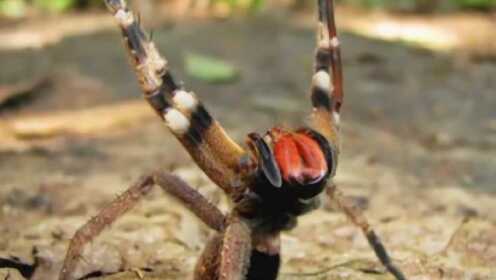 海口市浦劲百货有限公司 招标 避免因形式问题被废标