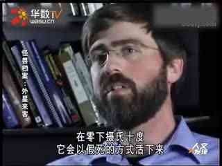 2021精品高清卡1卡2卡3麻豆