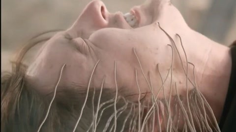 高清影视 综艺、高清影视您好