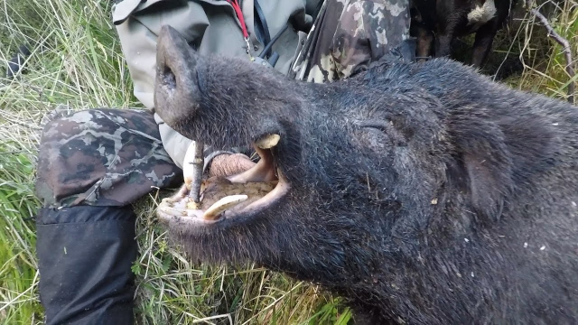 古巴比伦 可能位于尼尼微（亚述首都）