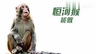 斩神同人动漫 同人由知名平台和画手执笔