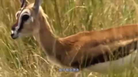 51吃瓜网大全 话题性信息的吃瓜需求