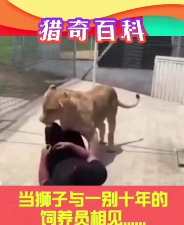 gtv(GTVApp)破解版下载