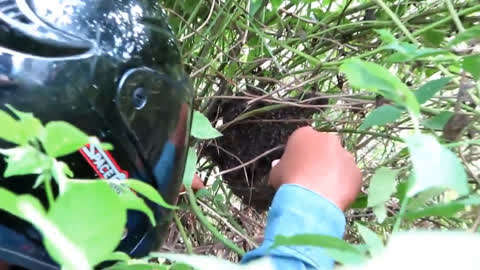 3id动漫 动漫最深刻的动漫方式